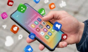 Software Development and Support services