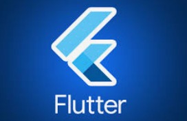 Software Development and Support services