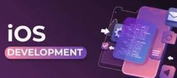 Software Development and Support services