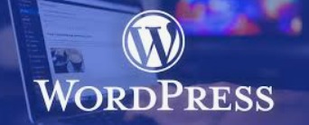 Software Development and Support services